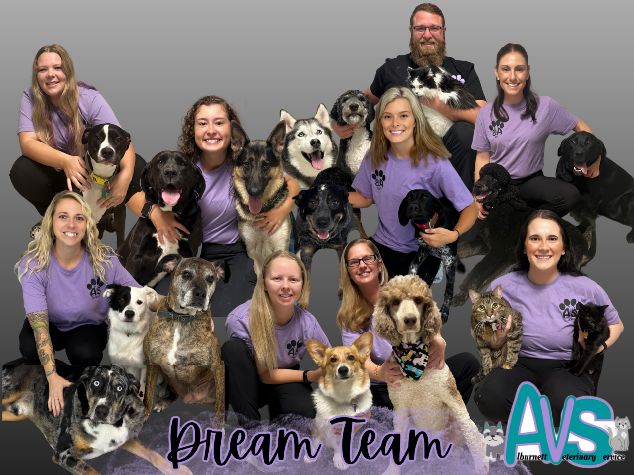 About Veterinary Service Vet In IA 52202