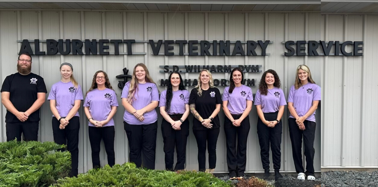 Best Vet In IA Veterinary Service
