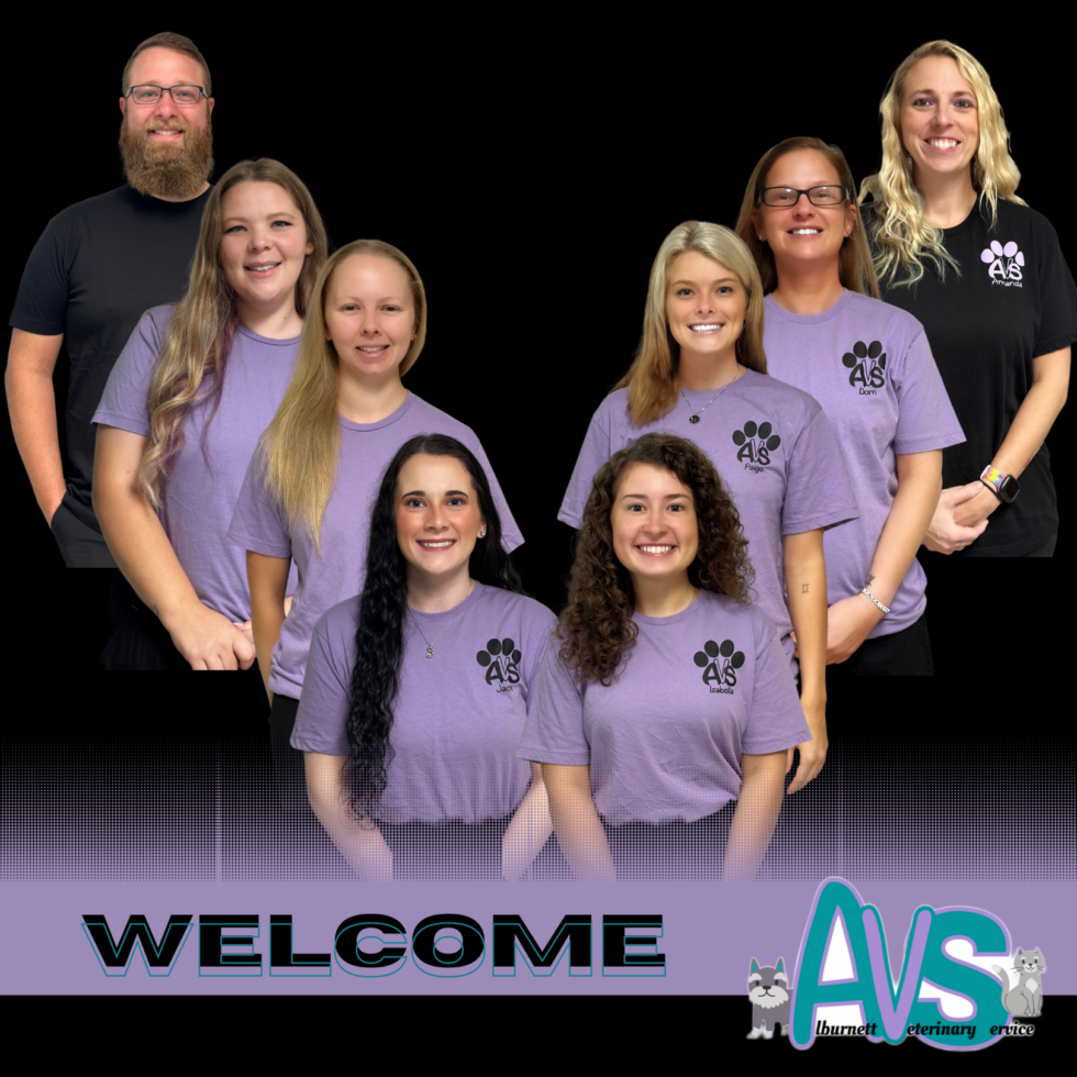 Best Vet In IA Veterinary Service