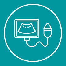 Pet Ultrasounds Icon